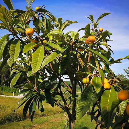 Masseria Le Querciole Fauglia Kültér fotó