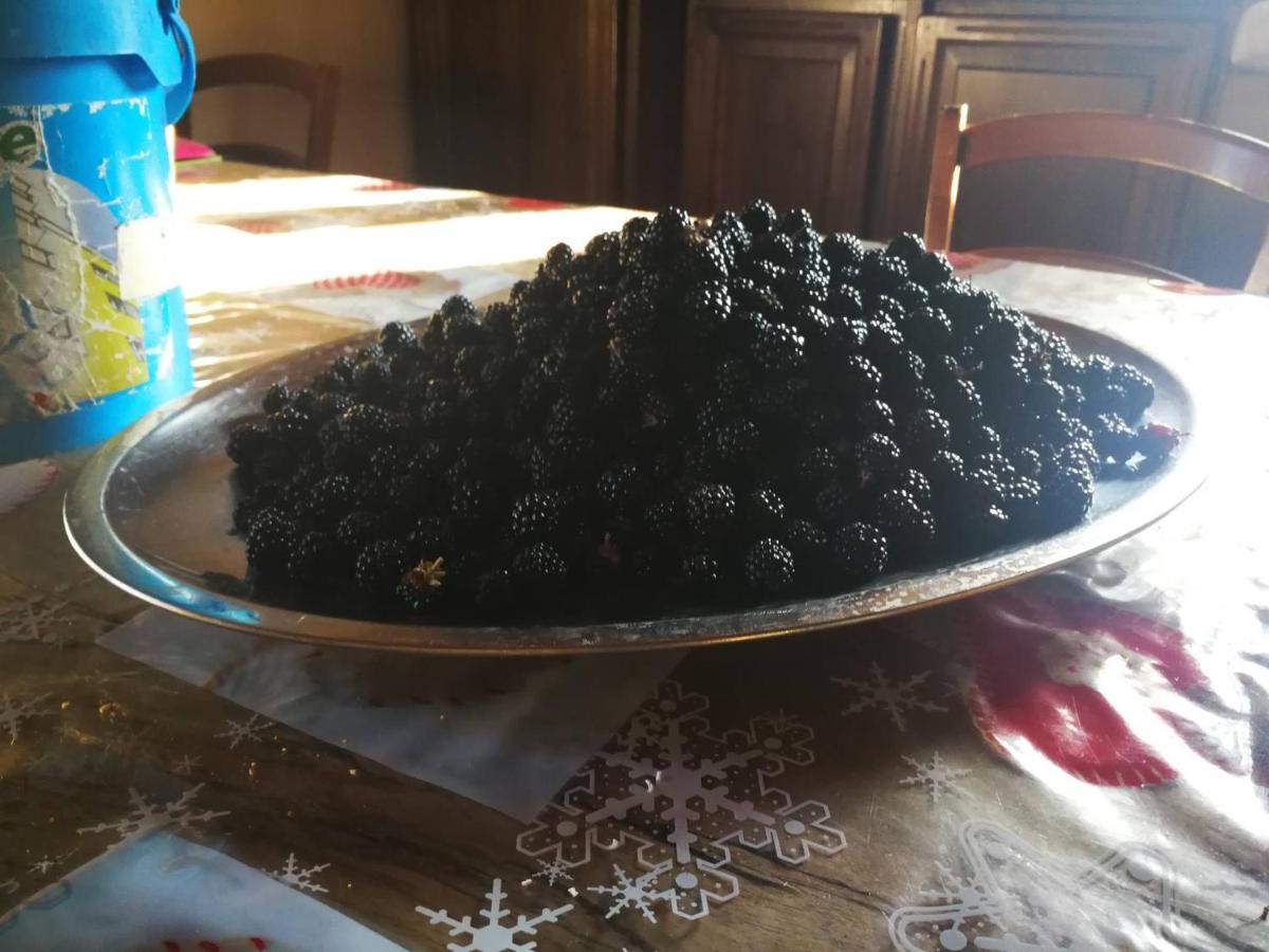 Masseria Le Querciole Fauglia Kültér fotó