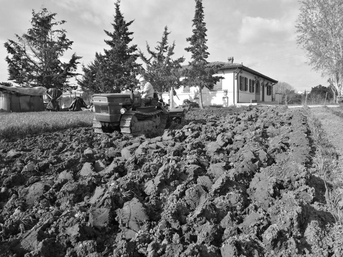 Masseria Le Querciole Fauglia Kültér fotó