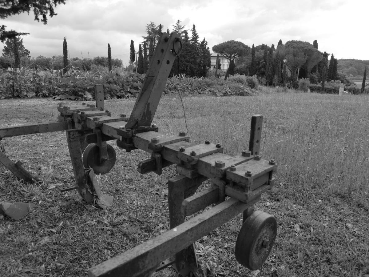 Masseria Le Querciole Fauglia Kültér fotó