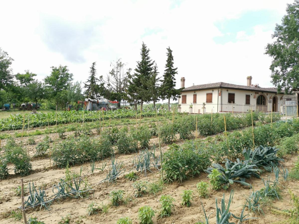 Masseria Le Querciole Fauglia Kültér fotó