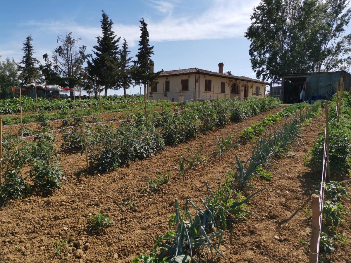 Masseria Le Querciole Fauglia Kültér fotó