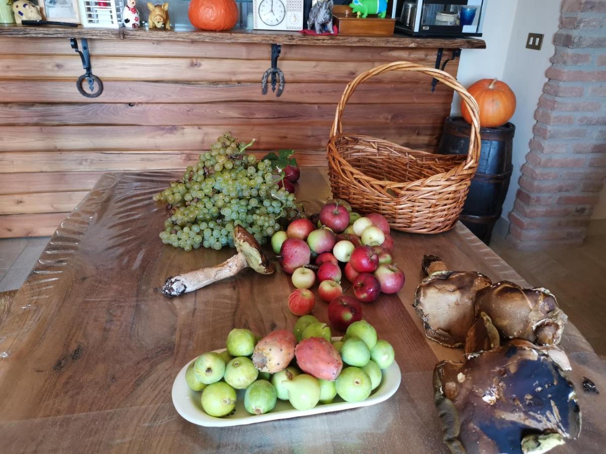 Masseria Le Querciole Fauglia Kültér fotó