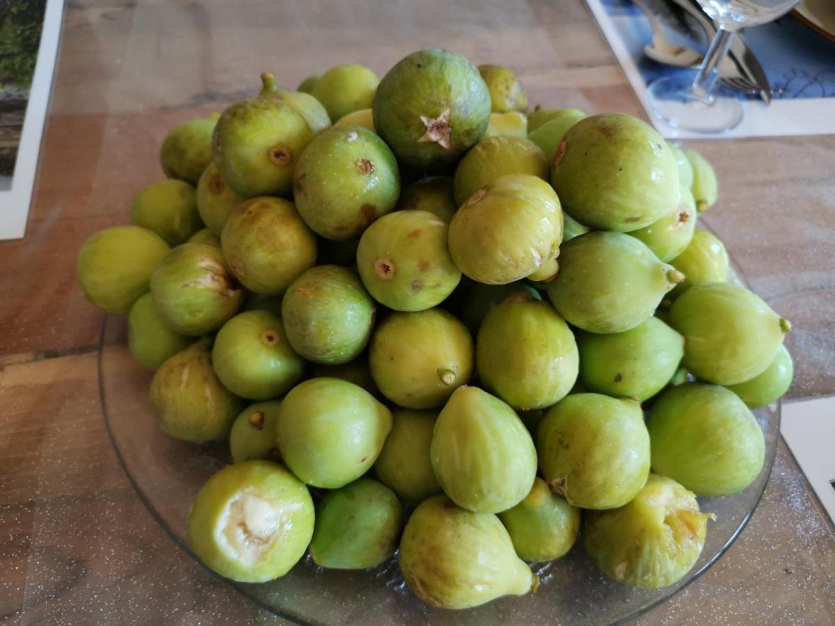 Masseria Le Querciole Fauglia Kültér fotó